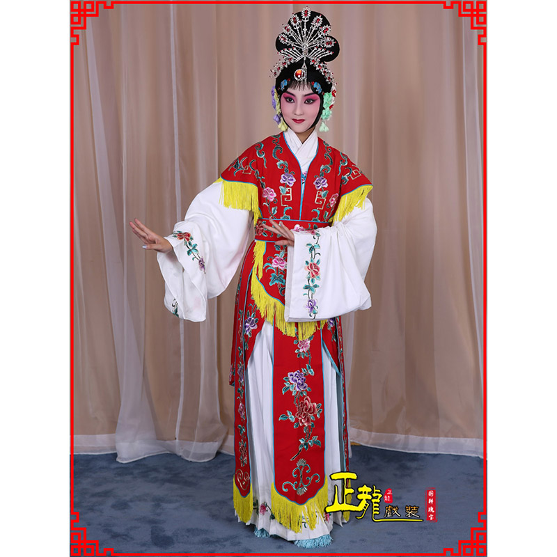 兴戏曲服装舞台演出红娘装